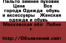 Пальто зимнее пуховик › Цена ­ 2 500 - Все города Одежда, обувь и аксессуары » Женская одежда и обувь   . Московская обл.,Лобня г.